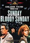 Sunday Bloody Sunday (1971).jpg